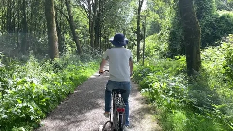 Slow motion, a man riding a bicycle in a forest under sunshine Video stock 255227302