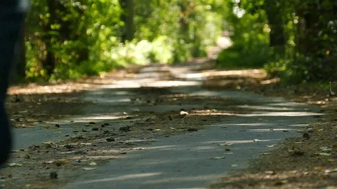  Slow motion.  Man riding mono wheel in autumn  park road. Electrical personal   Stock Footage 80423337