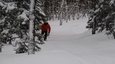 Slow motion of a man skiing through a snowy forest. Video stock 131274632