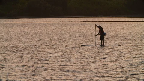Slow motion of man standing on board while paddling as the sun sets, Mulki Stock Footage 145046428