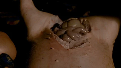 Slow Motion of man take out intestines and guts of pigs freshly slaughtered-Dan Stock Footage 103387426