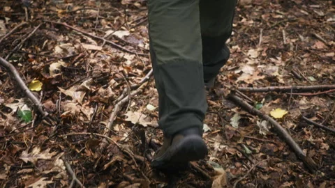 Slow motion man walking across fallen leaves in shaded deciduous forest 動画素材 339581197