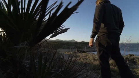 Slow motion man walking past small tree Stock Footage 101717744