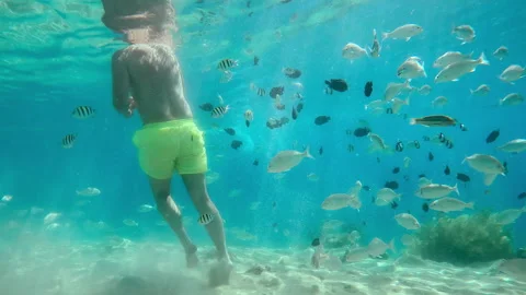 Slow motion of Man in yellow shorts feeding a lot of different fish on tropical Stock Footage 318043631