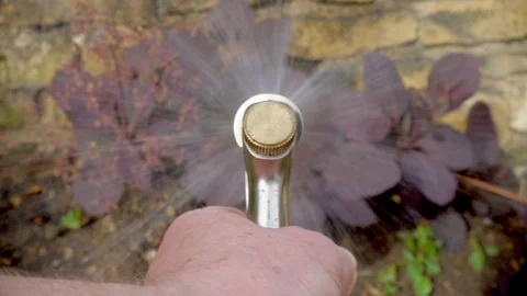 Slow motion - Man’s hands spraying water on a garden / yard shrub. Video stock 109065988