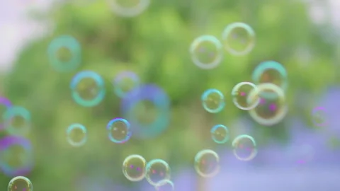 Slow motion, many soap bubbles floating with green tree background. Stock Footage 203454260