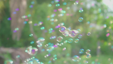 Slow motion, many soap bubbles floating with backyard background. Stock Footage 203455188