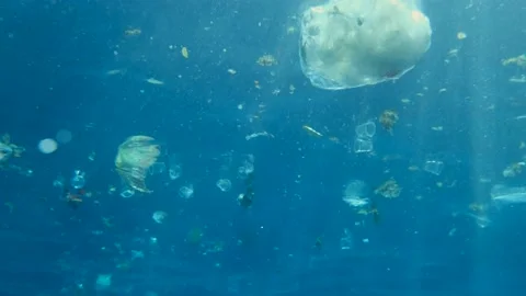 Slow motion, Massive plastic and other debris slowly drifts under surface of the Stock Footage 150175257