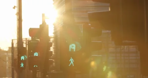 Slow motion medium close-up 4K shot with stabilized parallax motion of Stock Footage 123483534