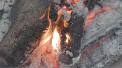 Slow motion medium shot of a campfire burning Stock Footage 203903753