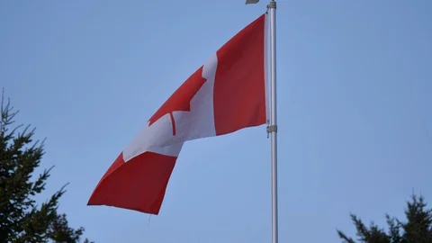 Slow motion medium shot of Canadian flag slowly flapping in the wind against a Stock Footage 129658206