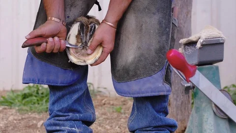 Slow motion medium shot of a Farrier trimming around a horse hoof with a Stock Footage 104319588