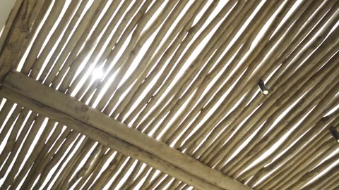 Slow motion medium shot of a reed roof with sun shinning through Stock Footage 257948440