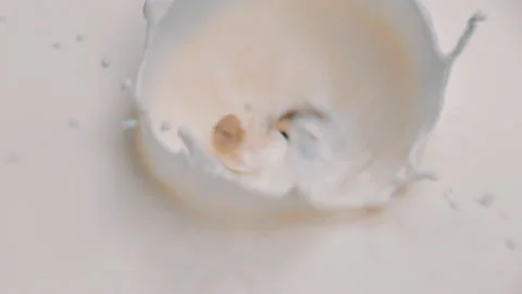 Slow motion milk splash. The champignon falls into the milk. Stock Footage 221851927