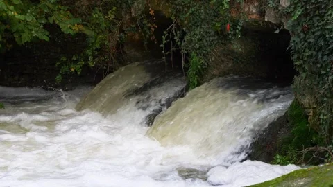 Slow motion of mini waterfall between rocks and leaves with white foam Stock Footage 284107733