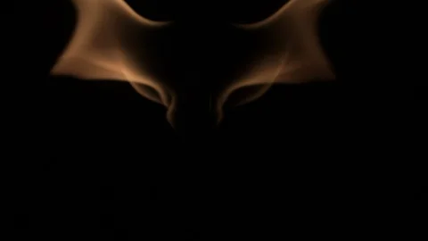 A slow motion mirror effect of a burning flame. 스톡 동영상 87731563