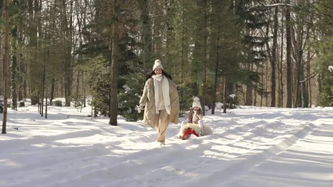 Slow motion. Mom rides a child on a sled. Winter forest. Stock Footage 154209253