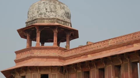 Slow Motion Monkey Running on Agra Fort Rooftops, Rhesus Macaque Wildlife 스톡 동영상 329753852