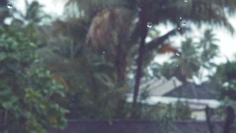 SLOW MOTION: Monsoon rain falls in the lush backyard of a tropical seaside home. Stock Footage 90888193