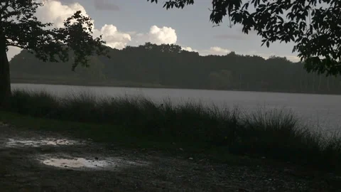 Slow Motion Moody Rain next to lake Vídeo Stock 232508943