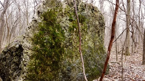Slow Motion Mossy Rock Stock Footage 102449127
