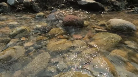 Slow motion of mountain river flowing over rocks Stock Footage 307439478