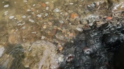 Slow motion of mountain river flowing over rocks 動画素材 307439501