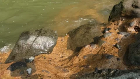 Slow motion of mountain river flowing over rocks 動画素材 307439894