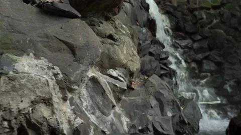 Slow Motion Mountain River Waterfall Flowing Between Rocks Stones Stock Footage 236609659