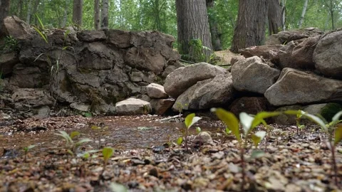 Slow motion mountain spring water stream forest Stockbeeldmateriaal 154580871