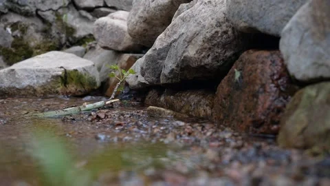 Slow motion mountain spring water stream Stock Footage 154589370
