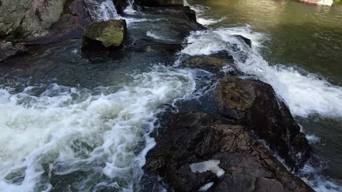 Slow Motion Mountain Stream Creek Landscape Footage Stock Footage 320101191