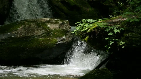 Slow motion mountain stream. Stock Footage 50767572