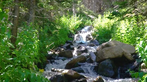 Slow Motion Mountain Stream Waterfall Video stock 79597506