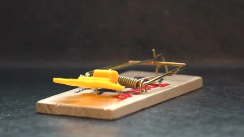 Slow Motion Mouse Trap Video stock 148160257
