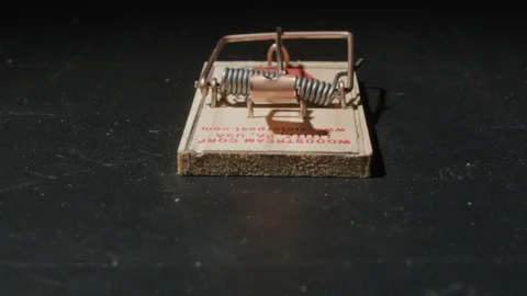 Slow Motion Mouse Trap Going Off 스톡 동영상 85824101