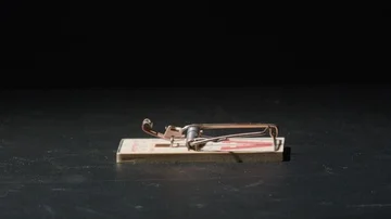 Slow Motion Mouse Trap Going Off Stockbeeldmateriaal 85824412