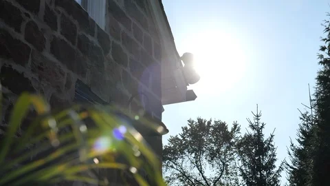 Slow motion move back silhouetted plant house and sun Stock Footage 114185884