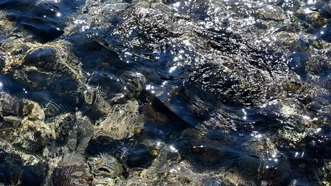 Slow motion movement of bright transparent sea surface Stock Footage 103365966