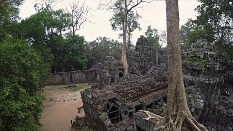 Slow Motion Moving Through Tree-Filled Temple 스톡 동영상 90237006