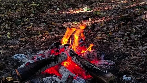 Slow Motion Nature Campfire Scene Video stock 342280142