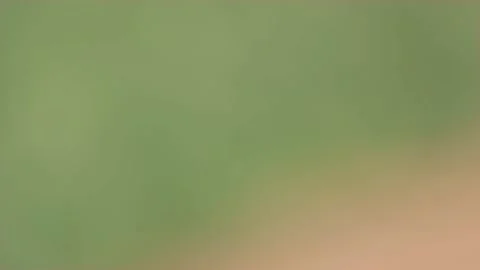 Slow motion nature 스톡 동영상 130881307