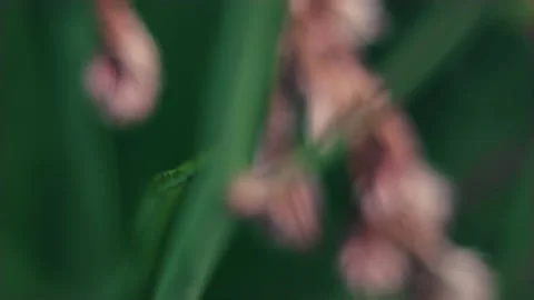 Slow motion nature 스톡 동영상 130881563