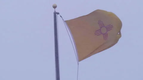 Slow Motion New Mexico Flag Blowing in the Wind Video stock 164449867