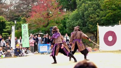Slow Motion Ninja Sword Fight Show at Nagoya Castle Gardens, Japan Stock Footage 334079748