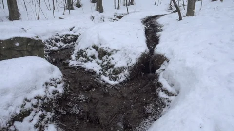 Slow motion of the non-freezing stream in heavy snow Stock Footage 231909600