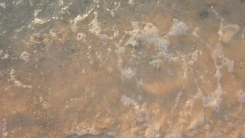 Slow Motion of Ocean Wave Breaking on Sandy Shoreline Stock Footage 308992253