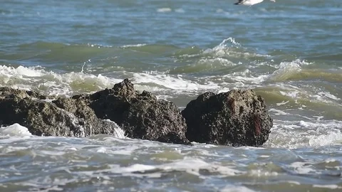 Slow Motion Ocean Waves Stock Footage 82617442