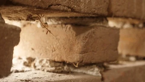 Slow motion old barn wall with air circulation Stock Footage