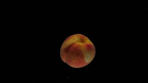 Slow motion one peaches falling into transparent water on black background Stock Footage 201022531